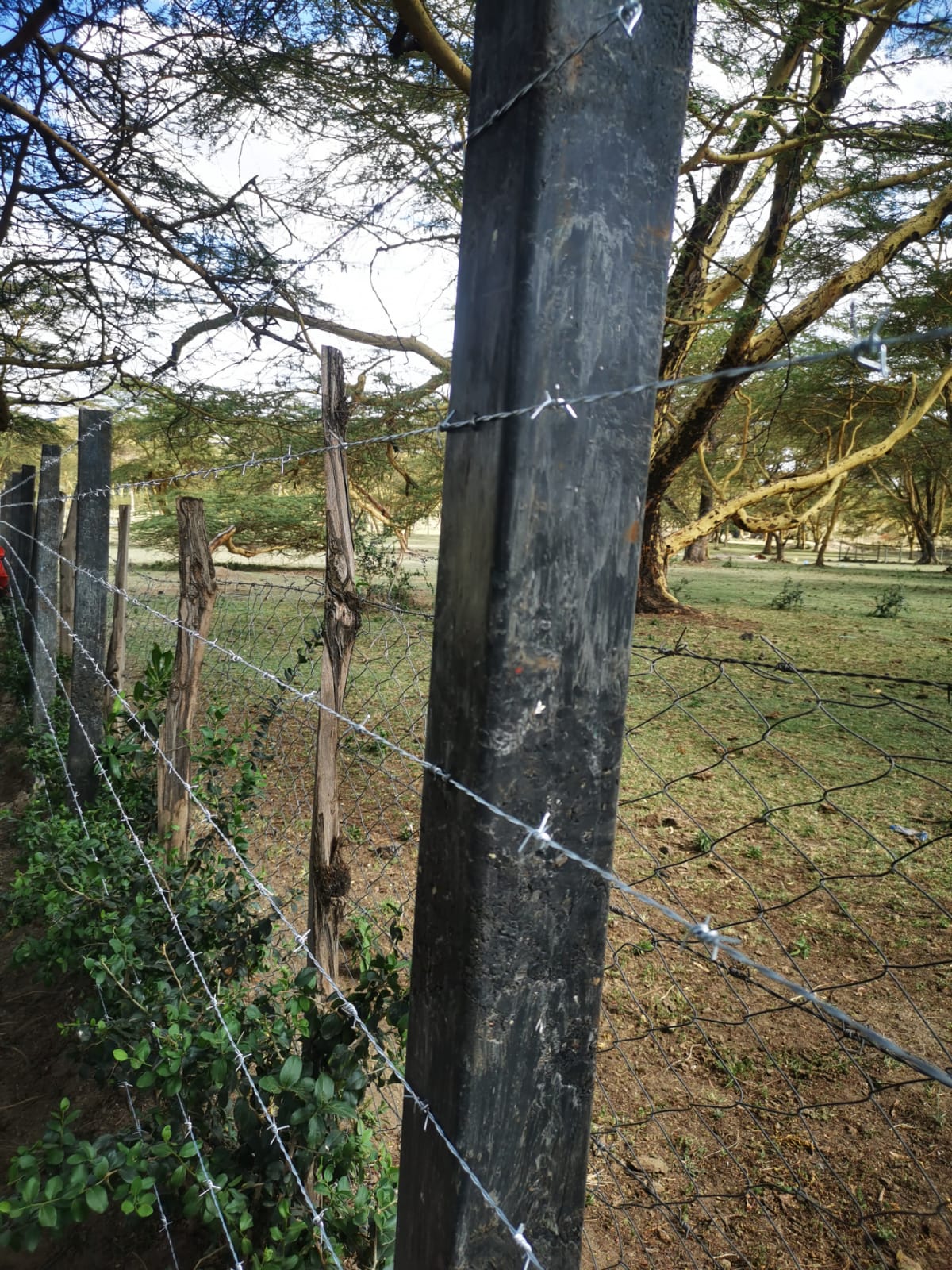Recycled plastic posts in use